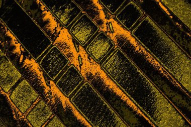 Renkli kirli duvar, desenli arkaplan