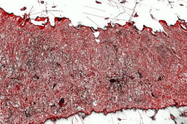 Kırmızı ve siyah renkli grungy duvar, desenli arka plan