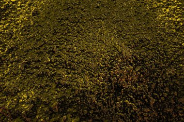 Kırmızı sarı ve siyah renkli kirli duvar, desenli arka plan.