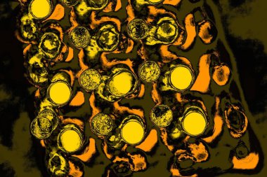 Kırmızı sarı ve siyah renkli kirli duvar, desenli arka plan.