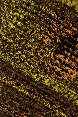 Kırmızı sarı ve siyah renkli kirli duvar, desenli arka plan.