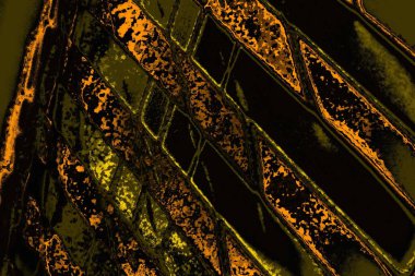 Kırmızı sarı ve siyah renkli kirli duvar, desenli arka plan.