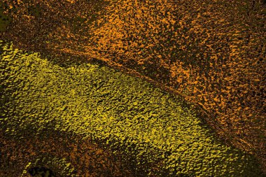 Renkli kirli duvar, desenli arkaplan