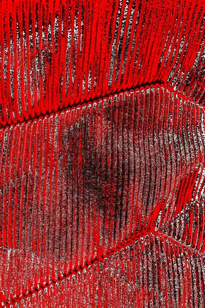 크림슨붉은 그르렁거리는 문자로 — 스톡 사진