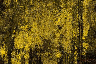 Kırmızı sarı ve siyah renkli kirli duvar, desenli arka plan.