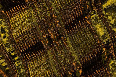 Kırmızı sarı ve siyah renkli kirli duvar, desenli arka plan.