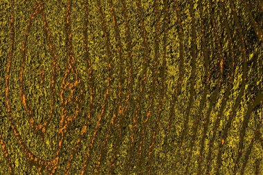 Kırmızı sarı ve siyah renkli kirli duvar, desenli arka plan.