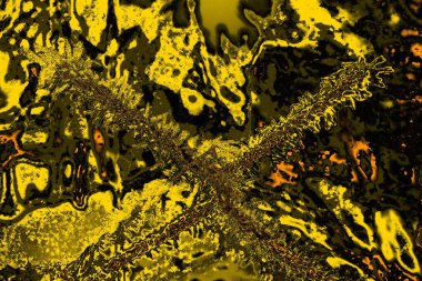 Karla kaplı kafes çiti. Kış zamanı. Şiddetli kar yağışıweather condition.