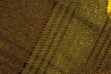 Kırmızı sarı ve siyah renkli kirli duvar, desenli arka plan.