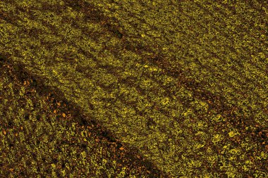 Renkli kirli duvar, desenli arkaplan