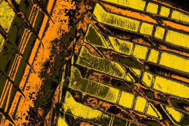 Renkli kirli duvar, desenli arkaplan