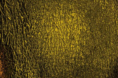 Kırmızı sarı ve siyah renkli kirli duvar, desenli arka plan.