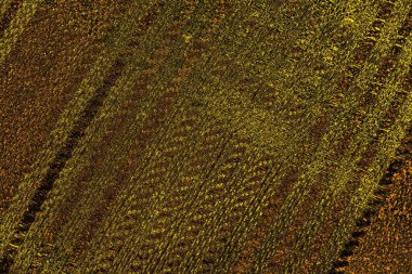 Kırmızı sarı ve siyah renkli kirli duvar, desenli arka plan.