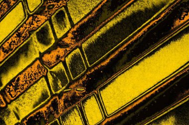 Kırmızı sarı ve siyah renkli kirli duvar, desenli arka plan.