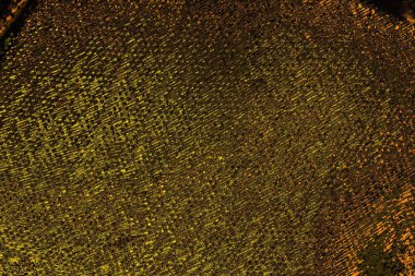 Renkli kirli duvar, desenli arkaplan