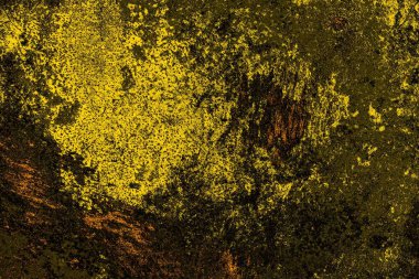 Kırmızı sarı ve siyah renkli kirli duvar, desenli arka plan.