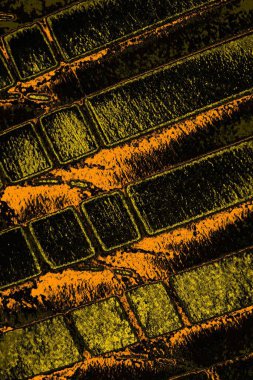 Renkli kirli duvar, desenli arkaplan