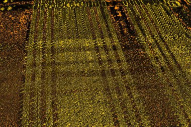 Kırmızı sarı ve siyah renkli kirli duvar, desenli arka plan.