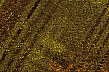 Kırmızı sarı ve siyah renkli kirli duvar, desenli arka plan.