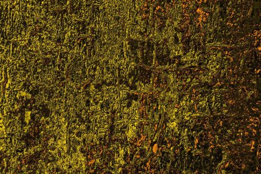 Kırmızı sarı ve siyah renkli kirli duvar, desenli arka plan.