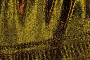 Kırmızı sarı ve siyah renkli kirli duvar, desenli arka plan.