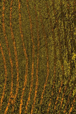 Kırmızı sarı ve siyah renkli kirli duvar, desenli arka plan.