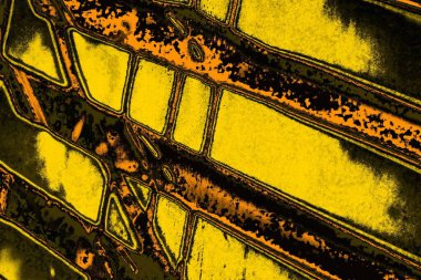 Kırmızı sarı ve siyah renkli kirli duvar, desenli arka plan.