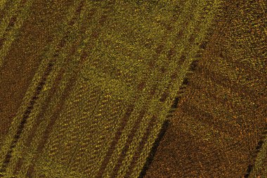 Kırmızı sarı ve siyah renkli kirli duvar, desenli arka plan.