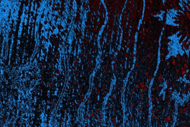 Boşluk duvar kağıdını, grunge arkaplanını, soyut renkli doku arkaplanını kopyala