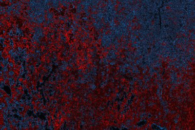 Boşluk duvar kağıdını, grunge arkaplanını, soyut renkli doku arkaplanını kopyala