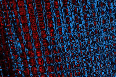 Boşluk duvar kağıdını, grunge arkaplanını, soyut renkli doku arkaplanını kopyala