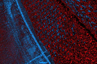 Boşluk duvar kağıdını, grunge arkaplanını, soyut renkli doku arkaplanını kopyala