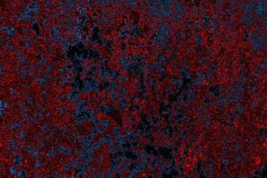 Boşluk duvar kağıdını, grunge arkaplanını, soyut renkli doku arkaplanını kopyala