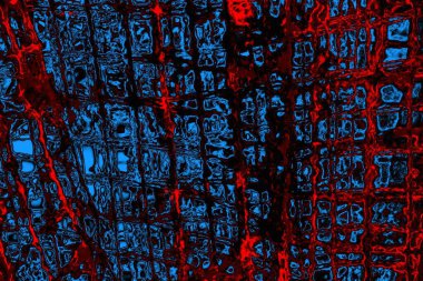 Boşluk duvar kağıdını, grunge arkaplanını, soyut renkli doku arkaplanını kopyala