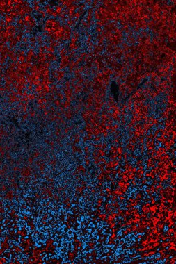 Boşluk duvar kağıdını, grunge arkaplanını, soyut renkli doku arkaplanını kopyala