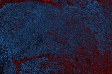 Boşluk duvar kağıdını, grunge arkaplanını, soyut renkli doku arkaplanını kopyala