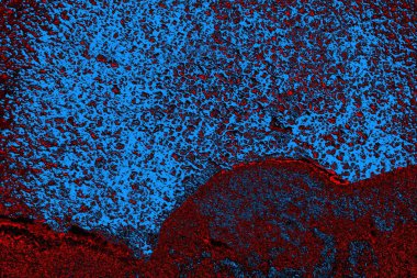 Boşluk duvar kağıdını, grunge arkaplanını, soyut renkli doku arkaplanını kopyala