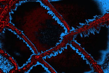 Karla kaplı kafes çiti. Kış zamanı. Şiddetli kar yağışıweather condition.