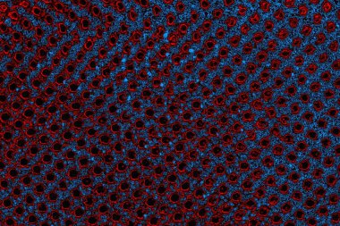 Boşluk duvar kağıdını, grunge arkaplanını, soyut renkli doku arkaplanını kopyala