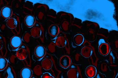 Boşluk duvar kağıdını, grunge arkaplanını, soyut renkli doku arkaplanını kopyala