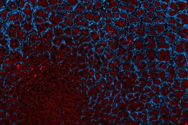 Boşluk duvar kağıdını, grunge arkaplanını, soyut renkli doku arkaplanını kopyala