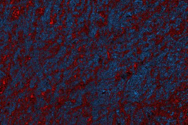 Boşluk duvar kağıdını, grunge arkaplanını, soyut renkli doku arkaplanını kopyala