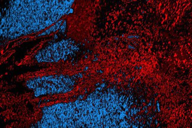 Boşluk duvar kağıdını, grunge arkaplanını, soyut renkli doku arkaplanını kopyala