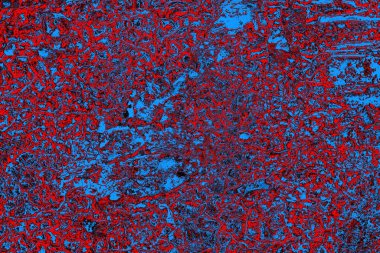  grunge arkaplanı, boşluk duvar kağıdını kopyala, soyut renkli doku arkaplanı