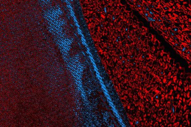 Boşluk duvar kağıdını, grunge arkaplanını, soyut renkli doku arkaplanını kopyala