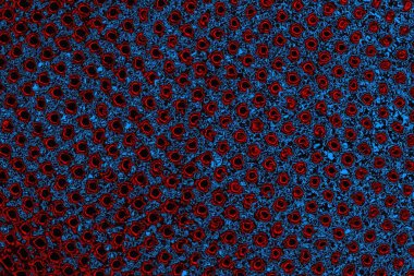 Boşluk duvar kağıdını, grunge arkaplanını, soyut renkli doku arkaplanını kopyala