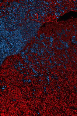 Boşluk duvar kağıdını, grunge arkaplanını, soyut renkli doku arkaplanını kopyala