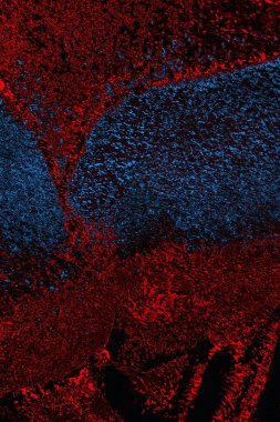 Boşluk duvar kağıdını, grunge arkaplanını, soyut renkli doku arkaplanını kopyala