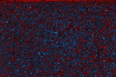 Boşluk duvar kağıdını, grunge arkaplanını, soyut renkli doku arkaplanını kopyala