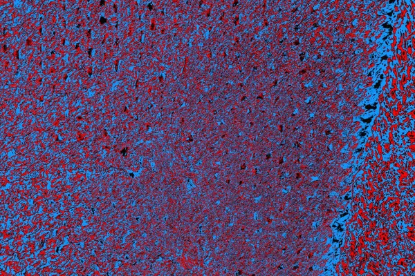  grunge arkaplanı, boşluk duvar kağıdını kopyala, soyut renkli doku arkaplanı